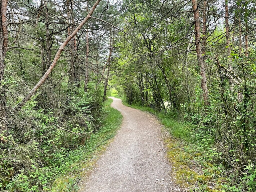 The trail was much more tranquil today.