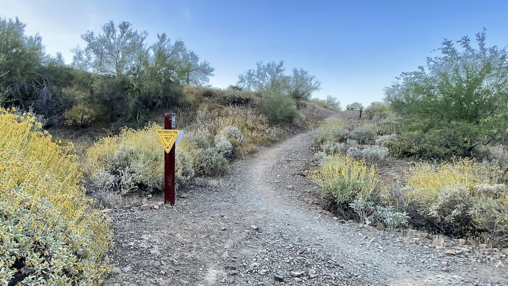 A bend in the trail.