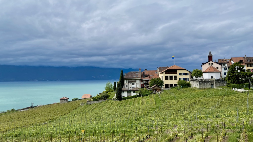 Walking in the vineyards above Lake Geneva.