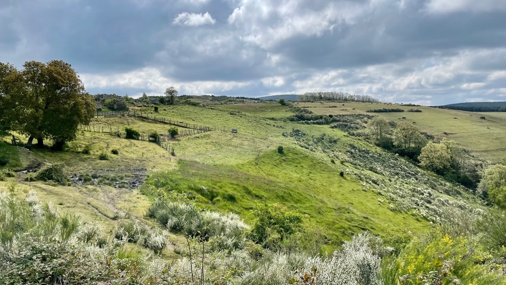 Some spectacular scenery from the Camino.